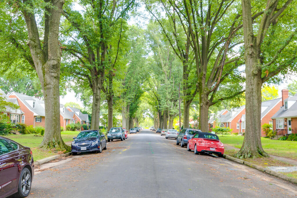 beautiful rosedale street