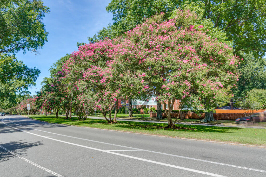 neighborhood street in sherwood park
